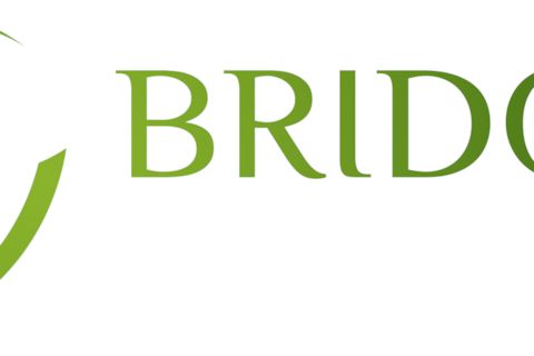 Bridges Health