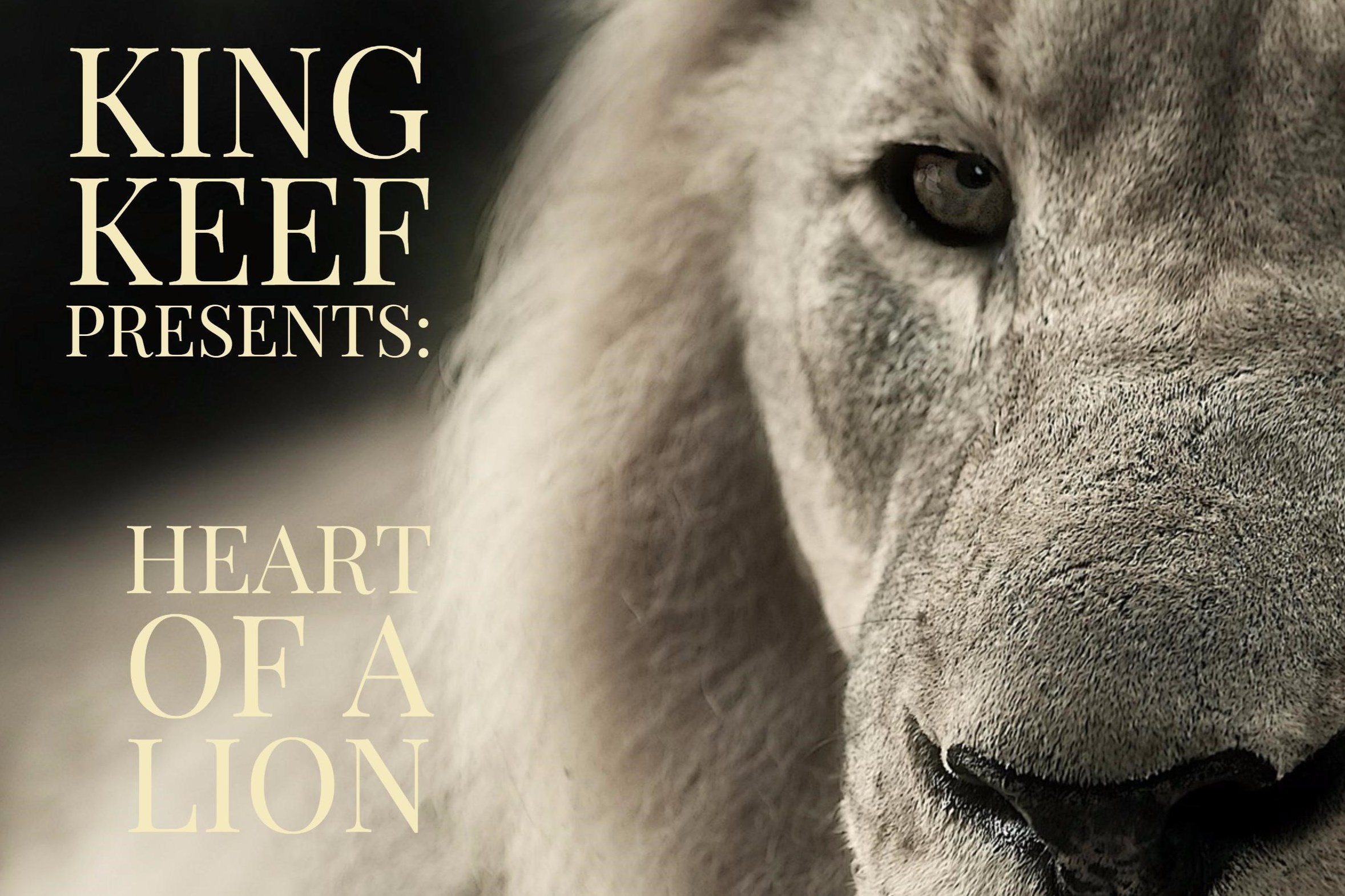 Phoenix Entertainment