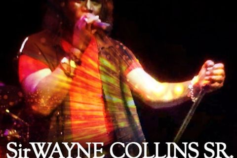 wayne