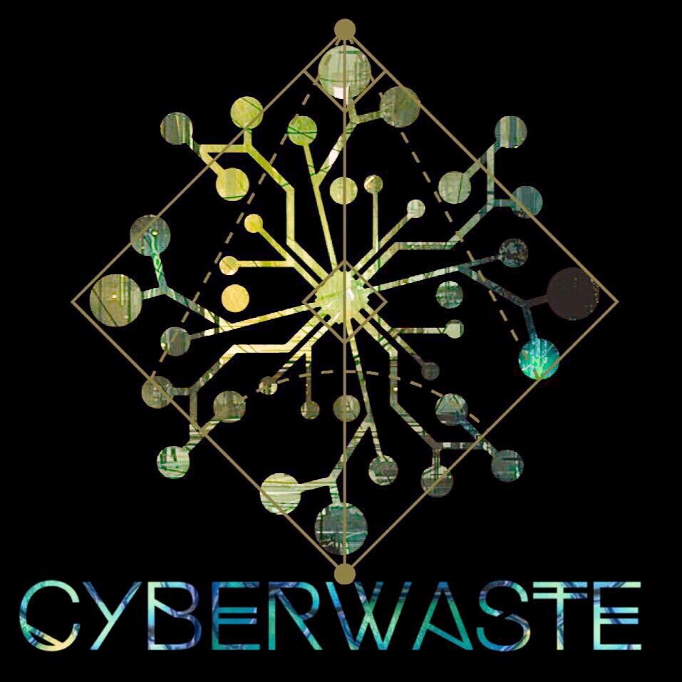 Cyberwaste