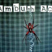 Ambush Aces