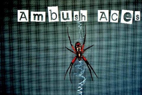 Ambush Aces