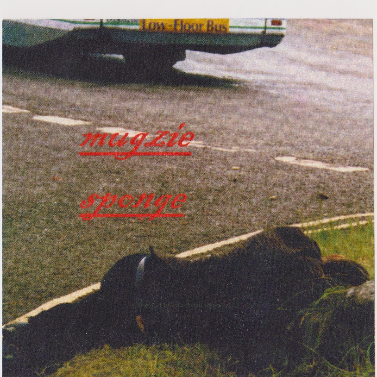 mugzie sponge